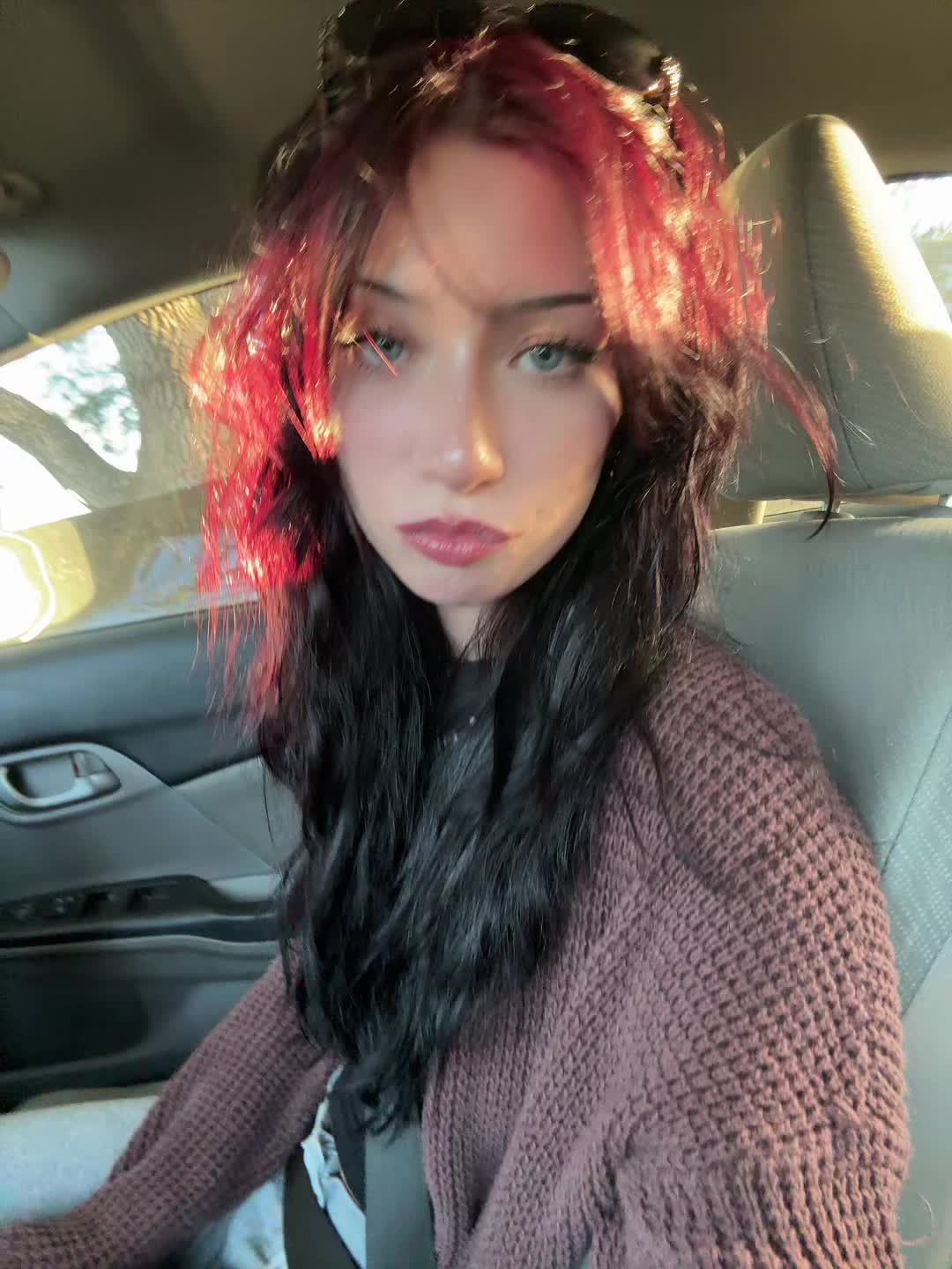 @≽^•⩊•^≼