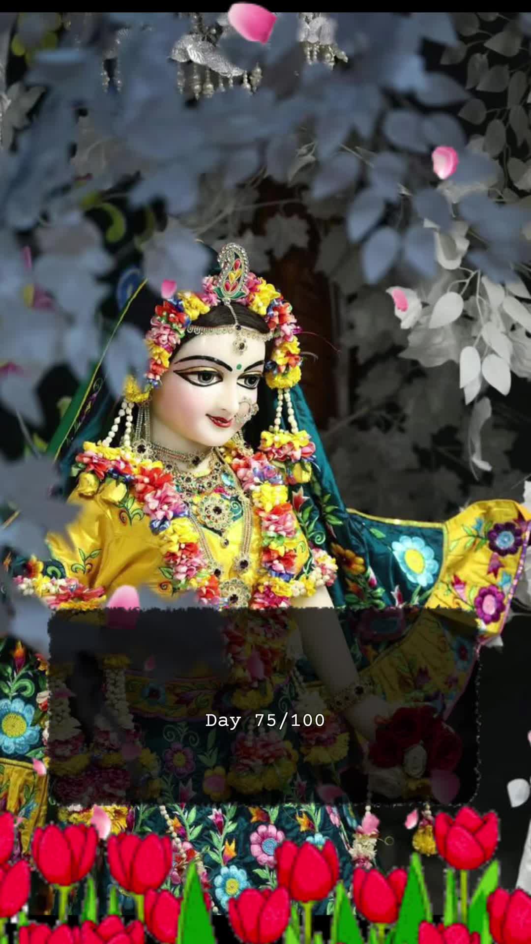 @RadheKrishna🦚🦚🙏🙏