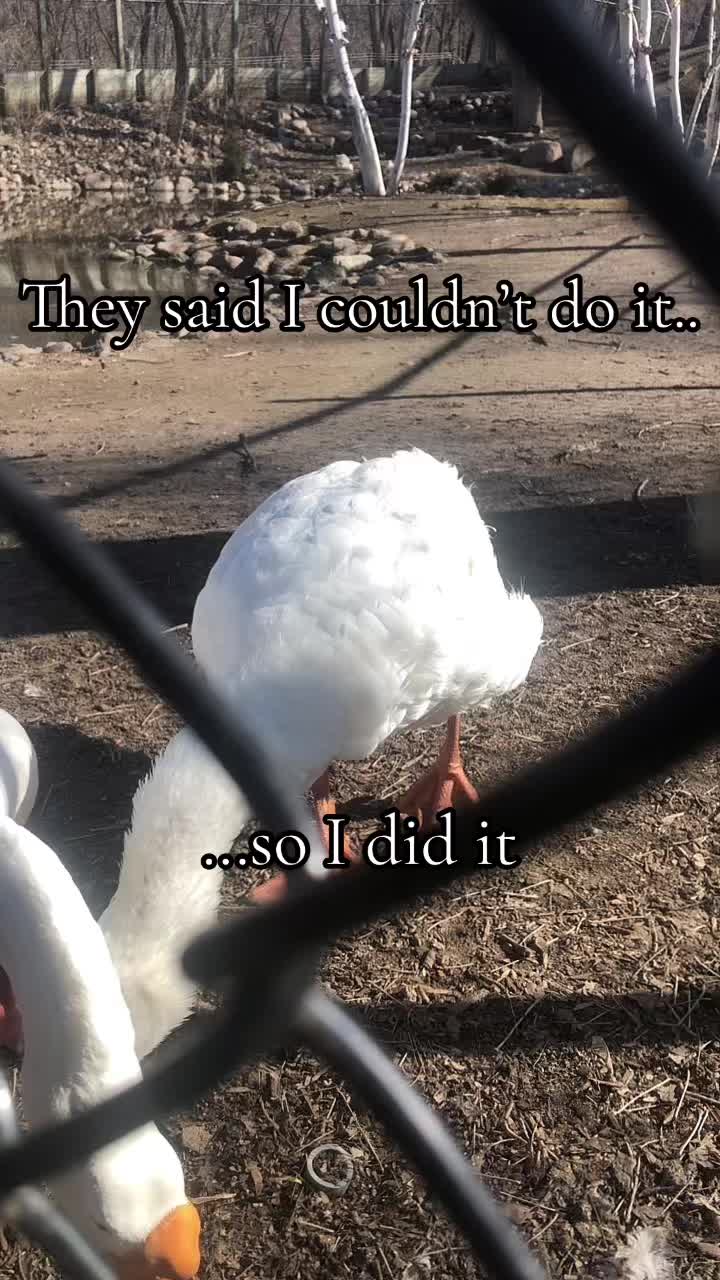 @DanielleSedin🩵
