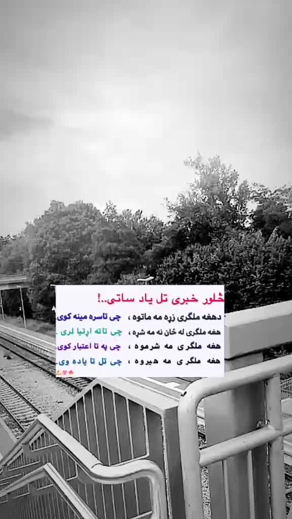 @Rehan Hotak🇦🇫🇩🇪