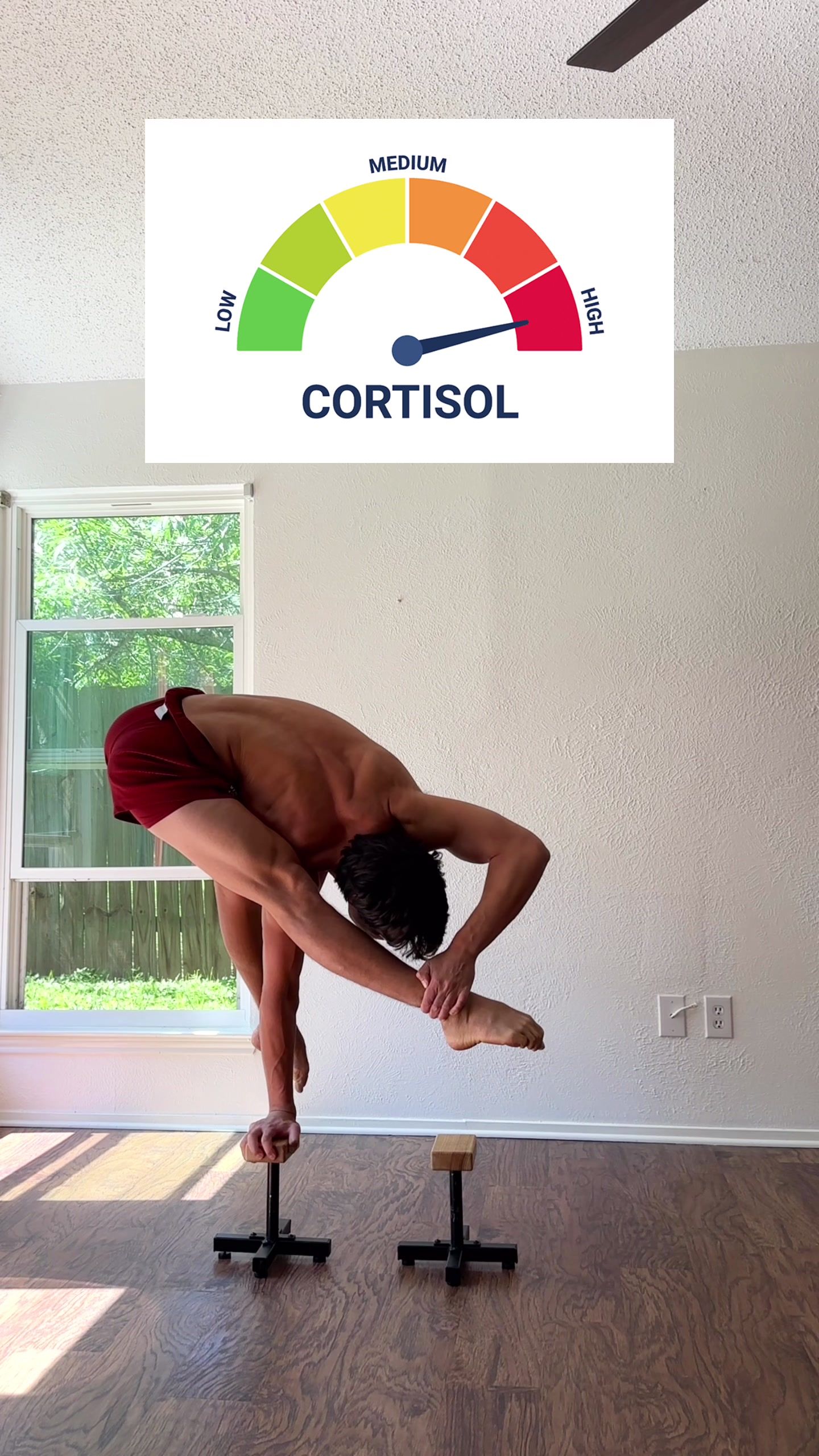 @joshie.leee