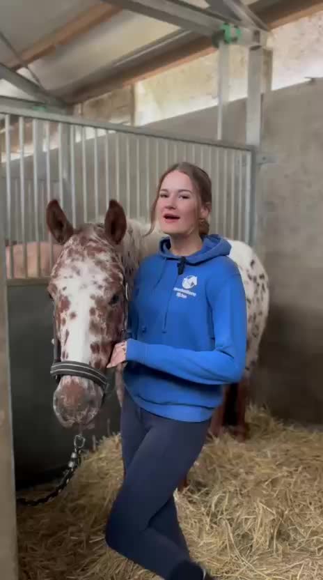 @manegeprinsenbankhoeve