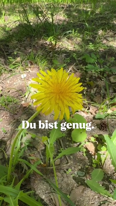 @JugendNotmail