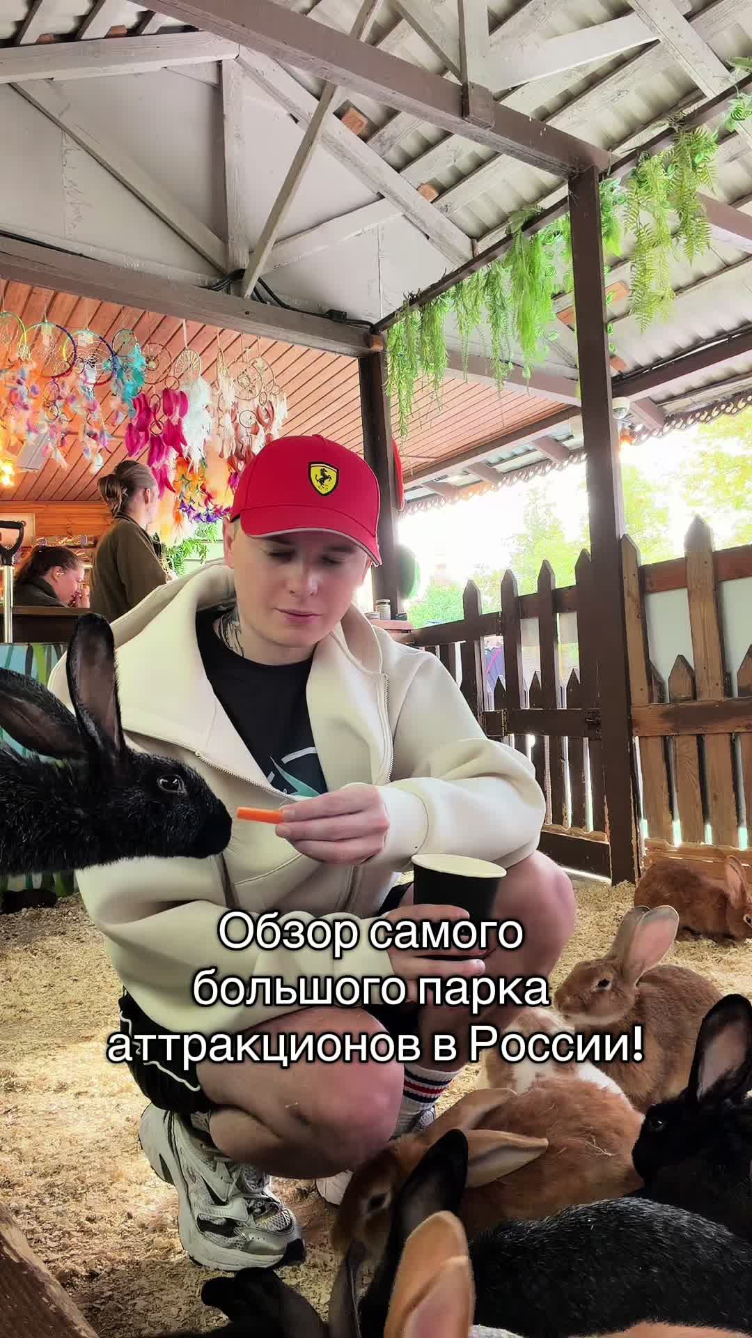 @Mario