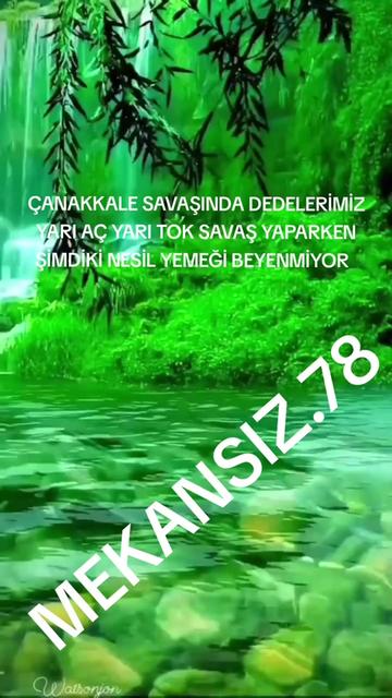 @MEKANSIZ.78