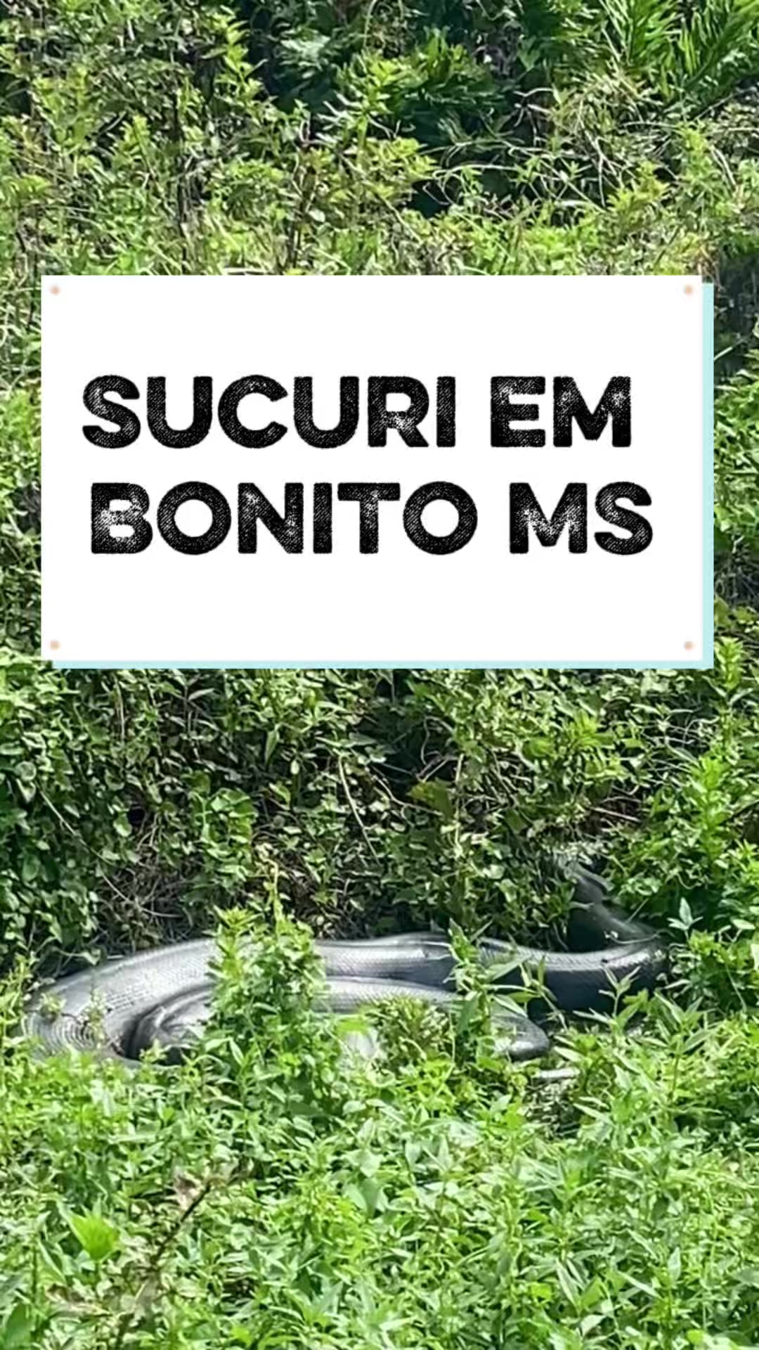 @Batera_88 🥁