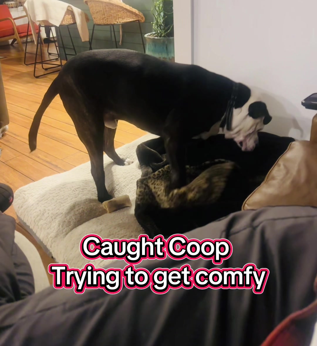 @Coop's Mom