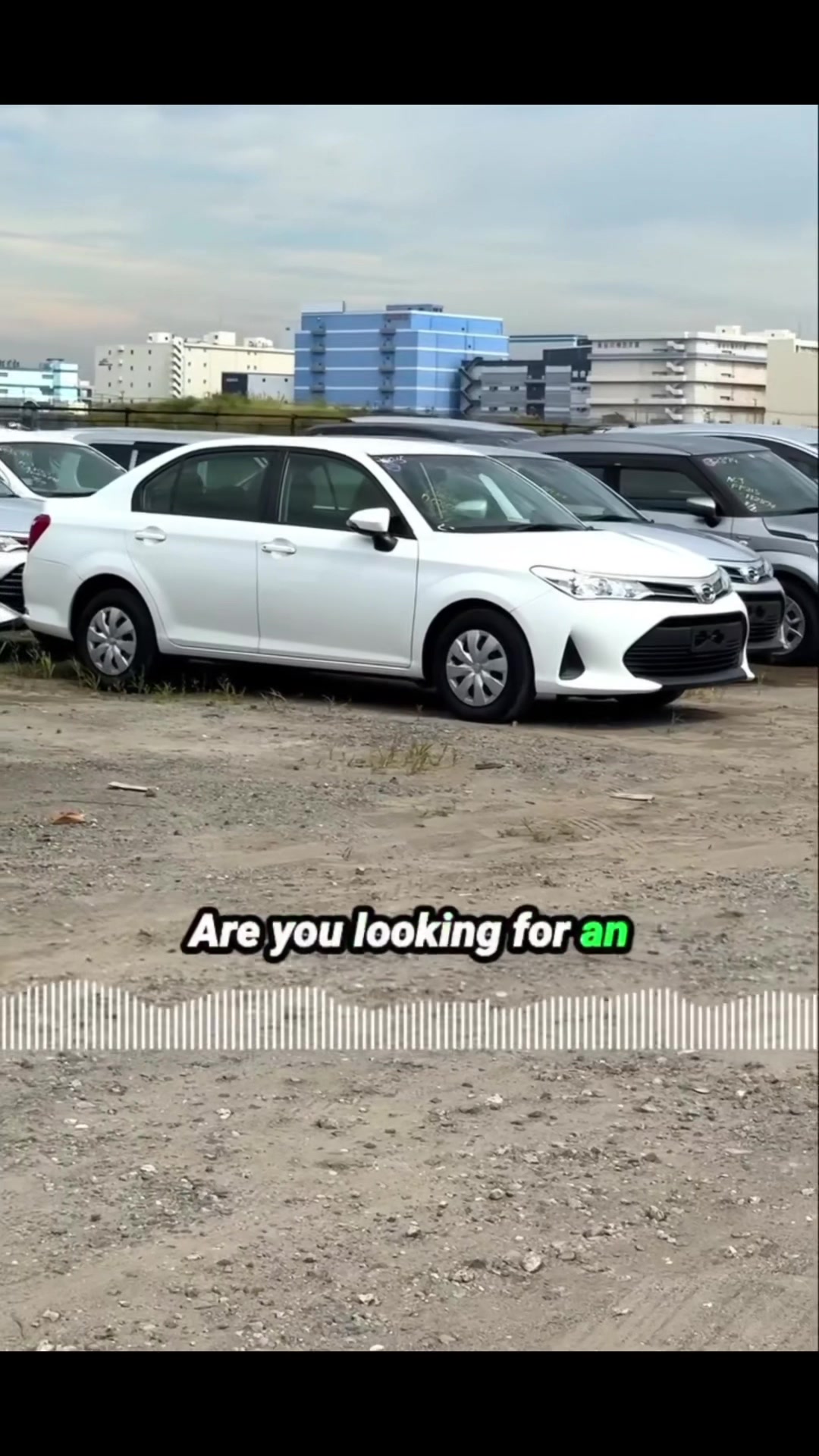 @SBTmotors