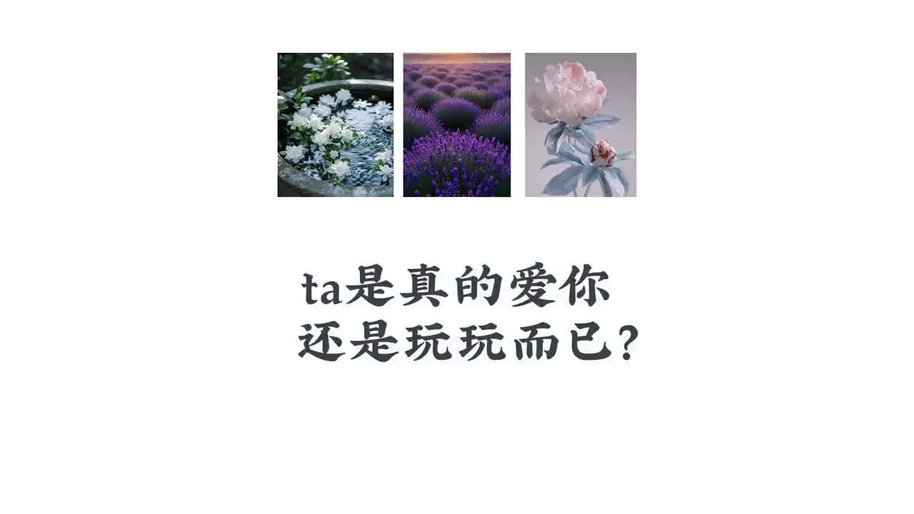 @塔羅牌占卜⭐