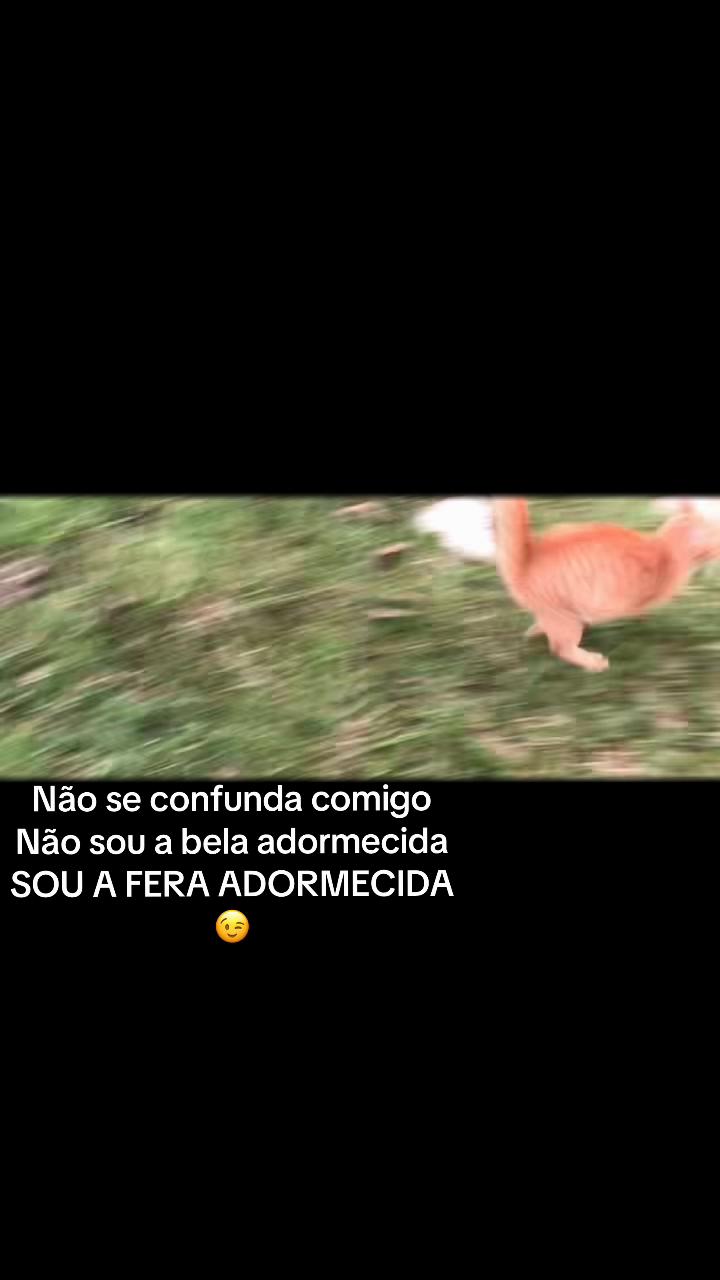 @Thais Voss