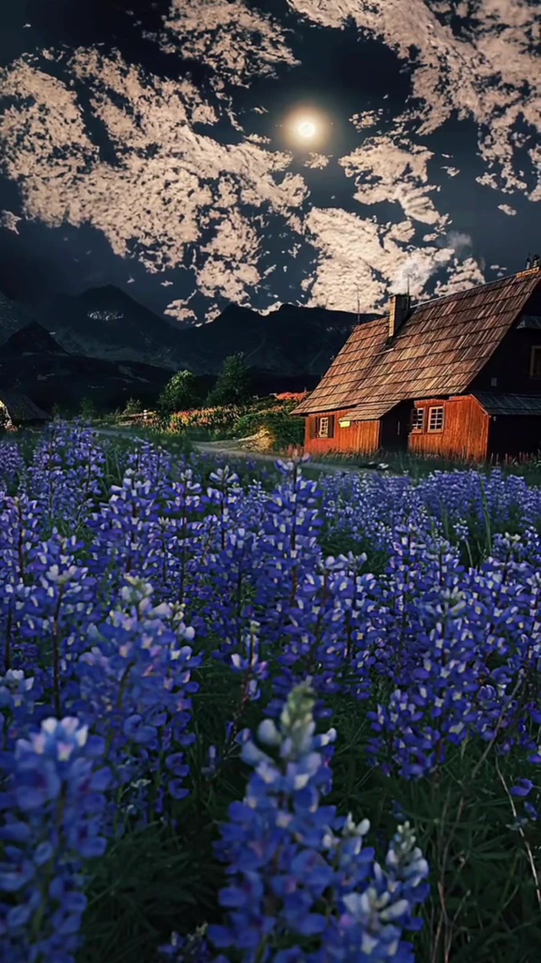 @asma.nature