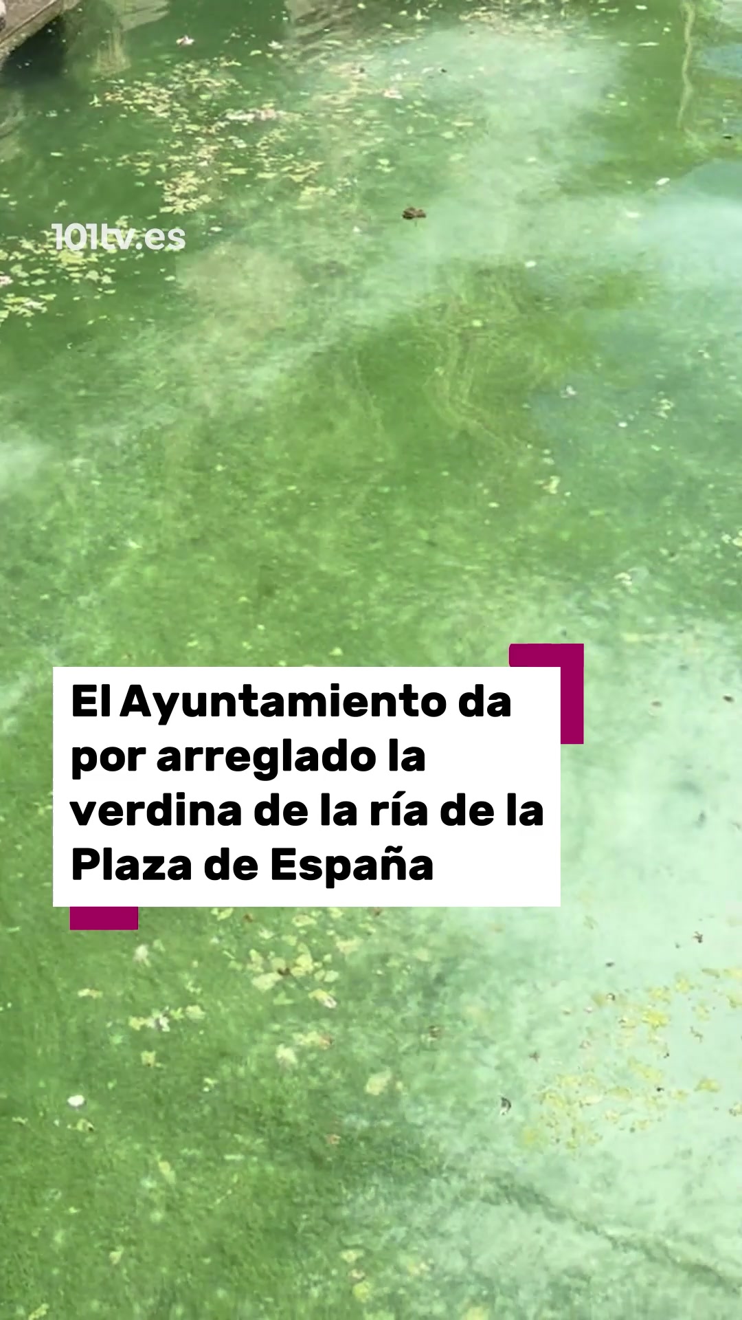 @101tv.es Sevilla