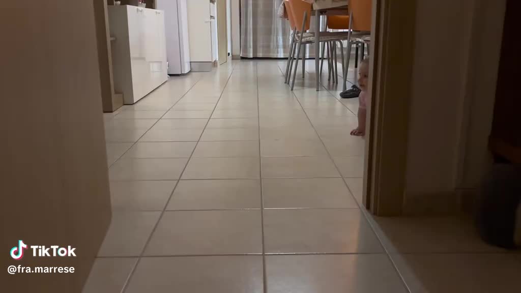 @Stefy 79