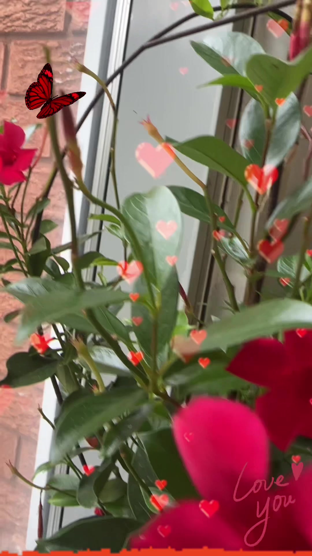 @786ami786