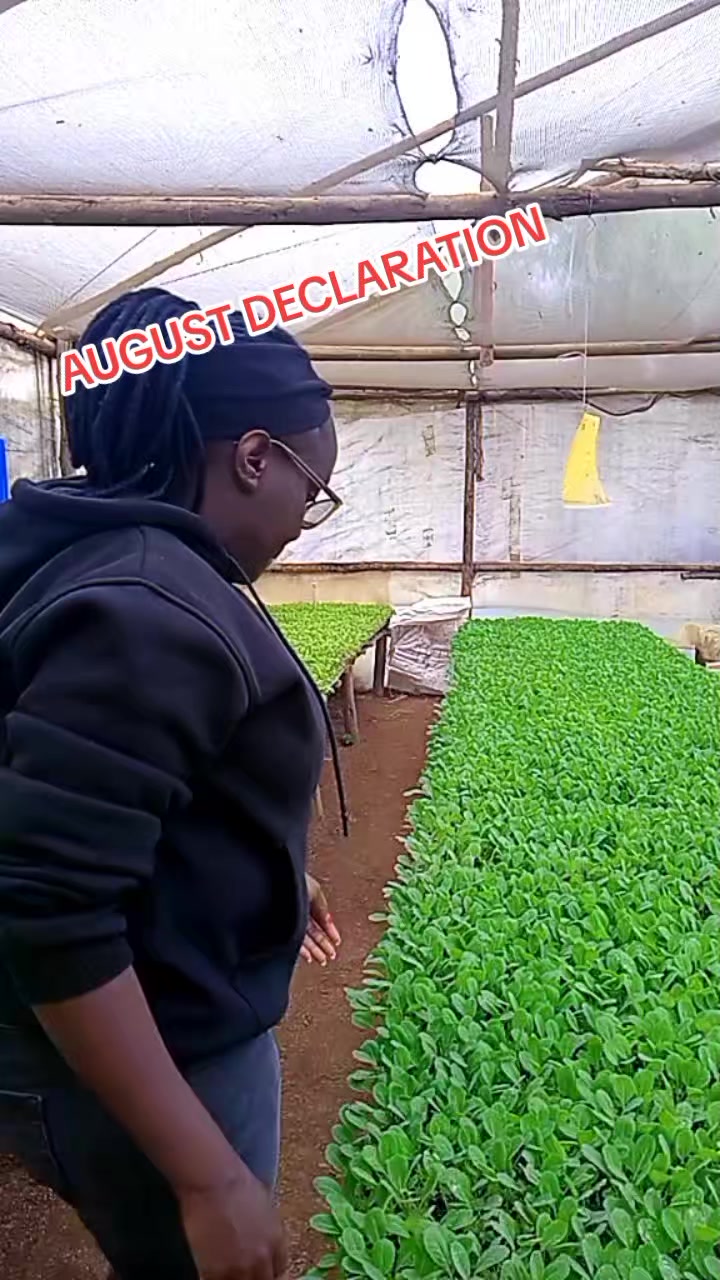 @wambuku thefarm empress
