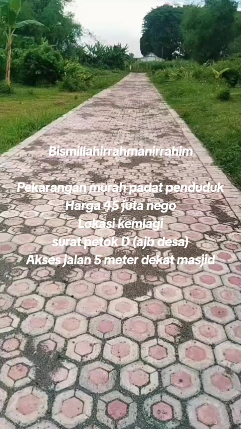 @"INOD"