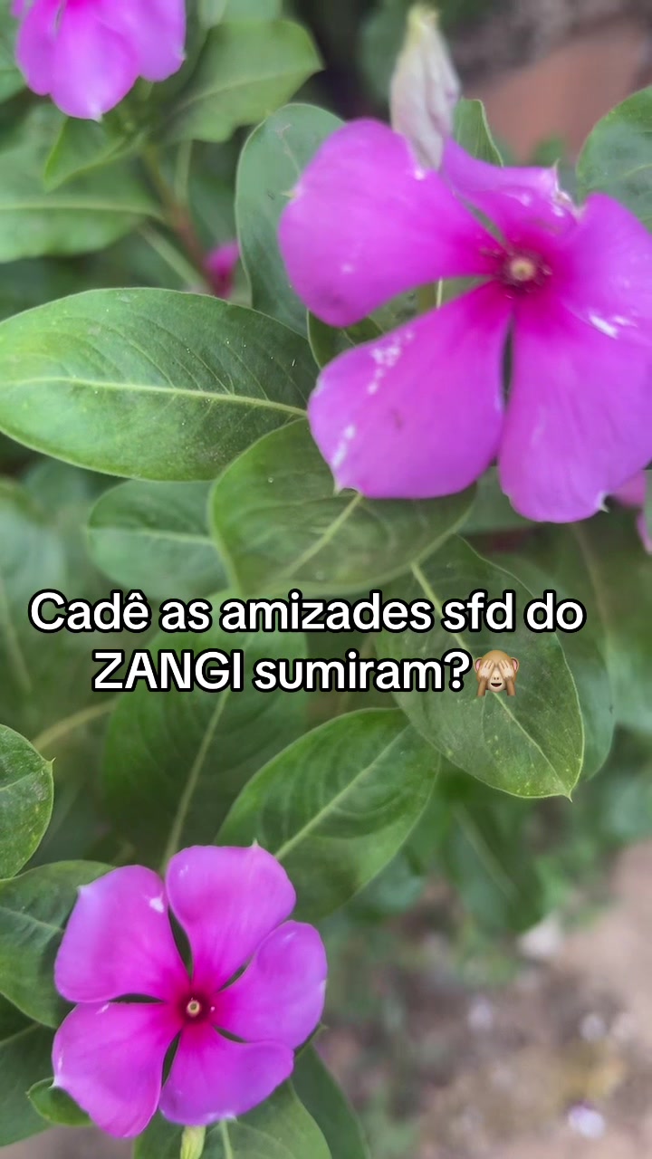 @manuely