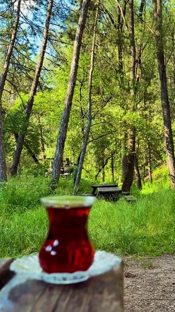 @𝓛𝓘̇🌺𝓝𝓔𝓢𝓢