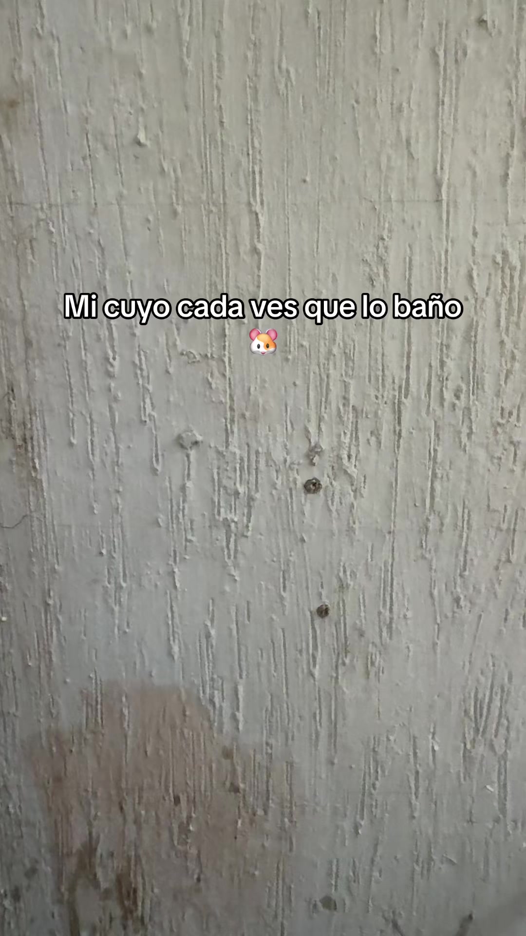 @christian.diaz2004⭐️🖤