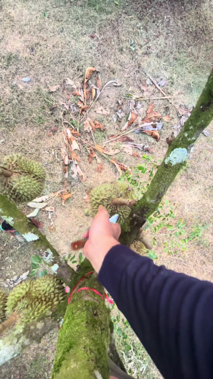 @เเบงค์ ชนะชัย  ଽ🌳🪣🍅