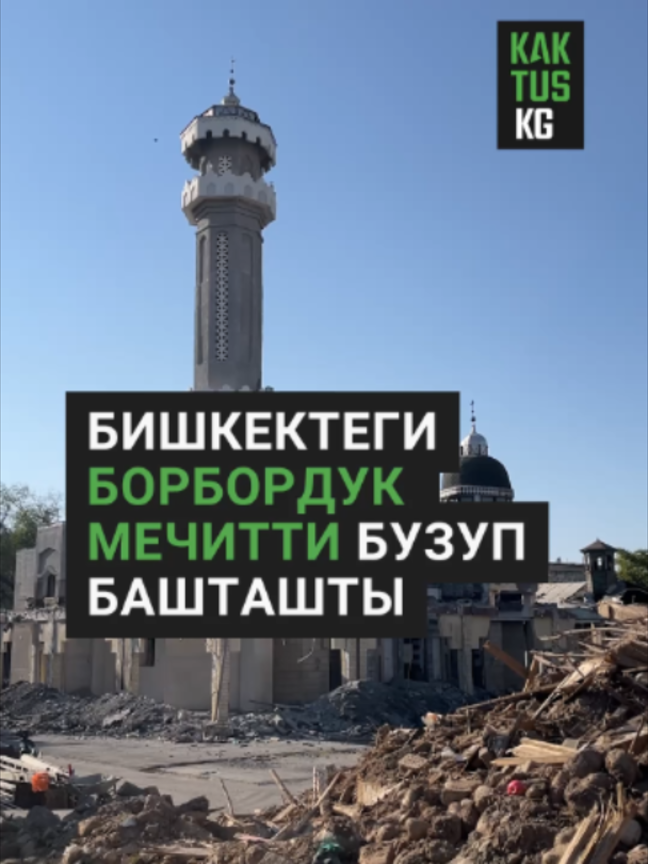 @Kaktus KG