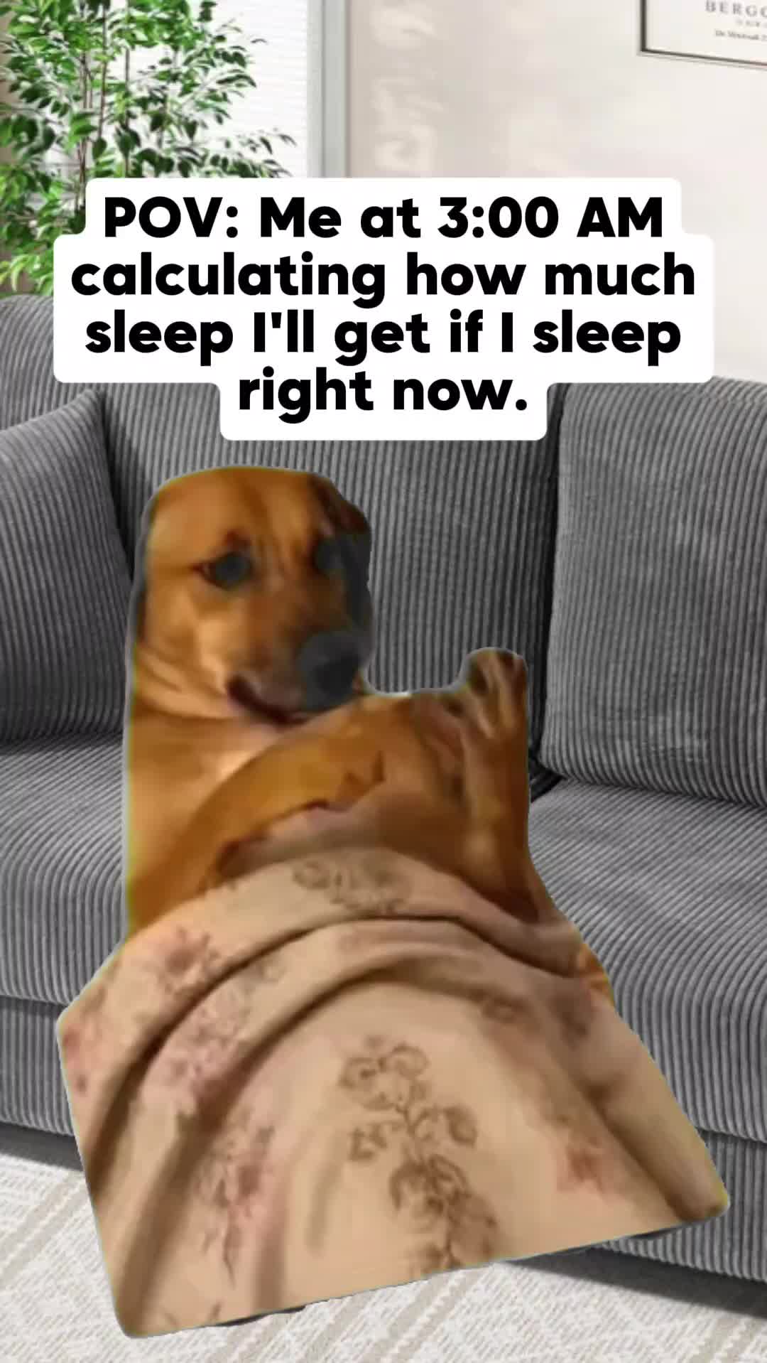@realitynutCindy ❌
