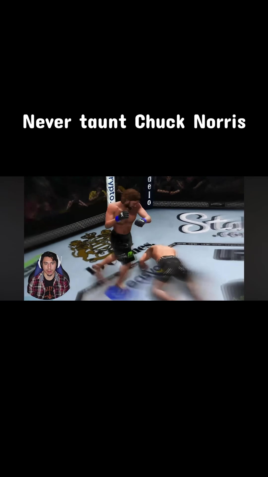 @Lobo Mma