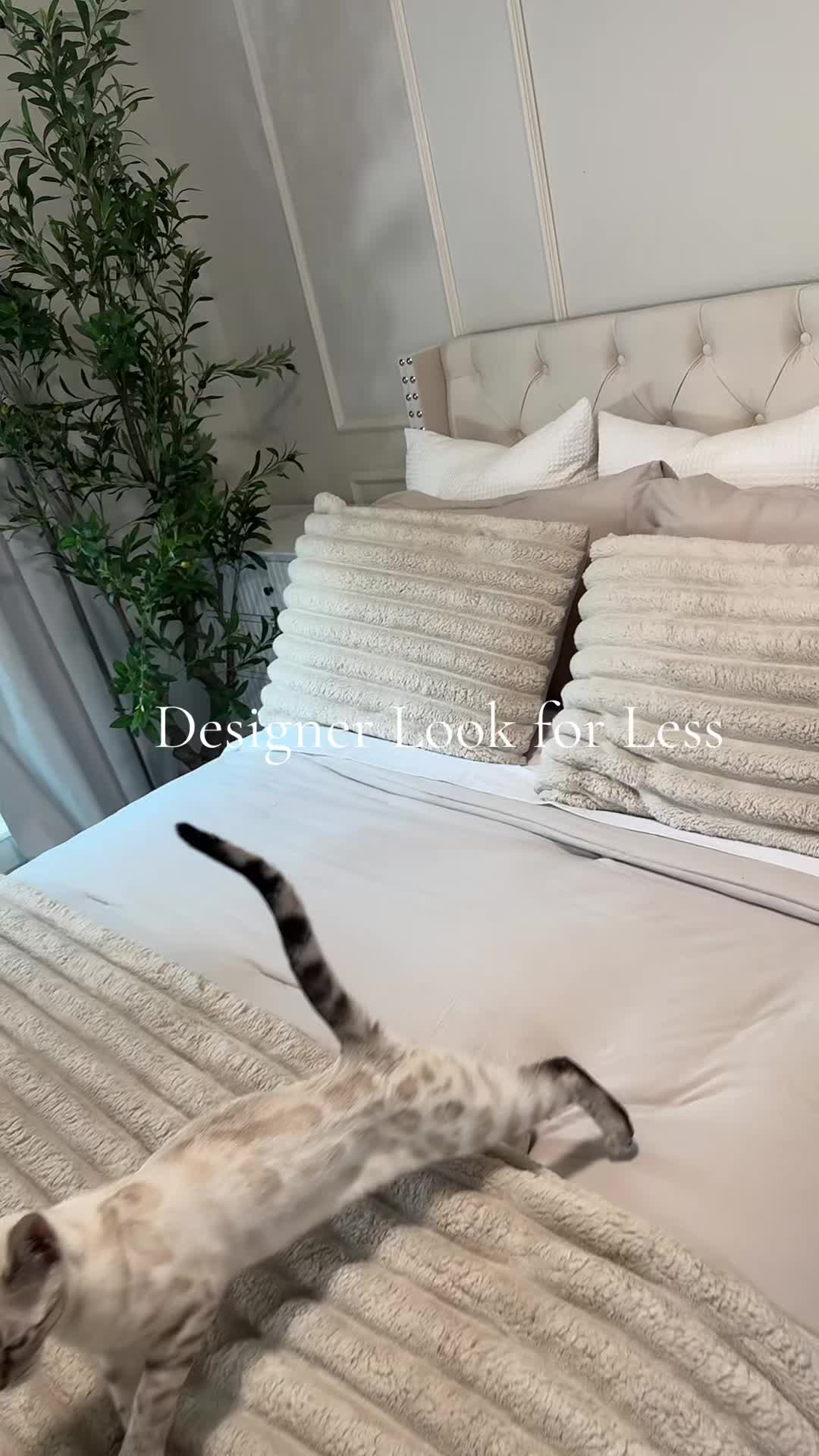 @Mrs. Kitty