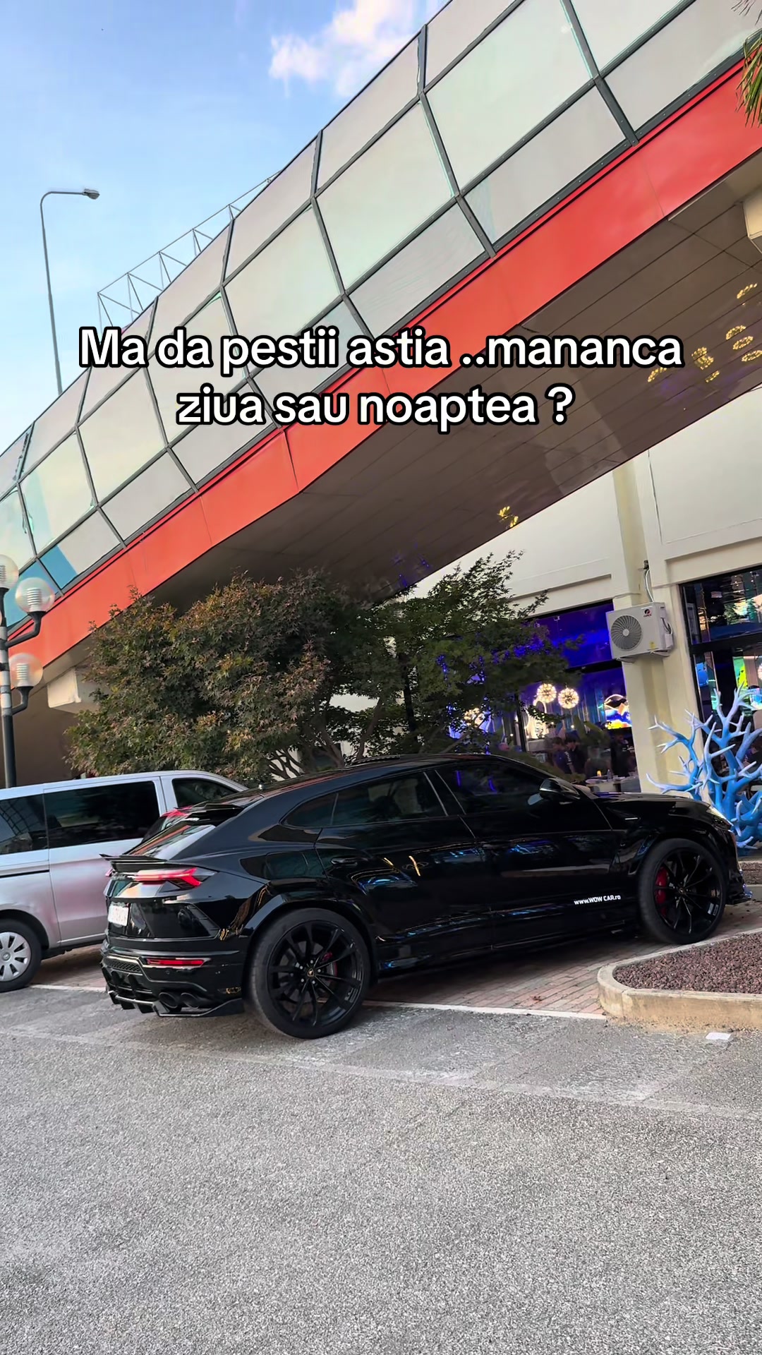 @www.WOW CAR.ro