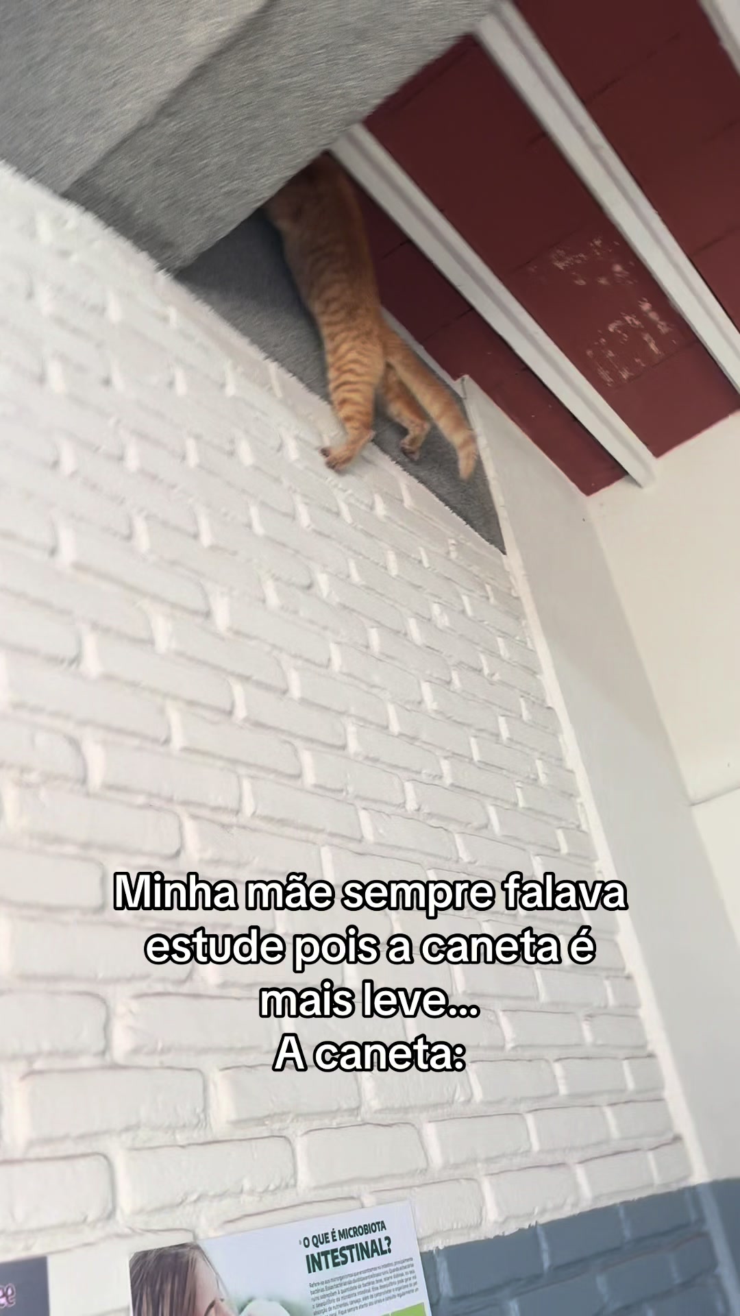 @Sarah