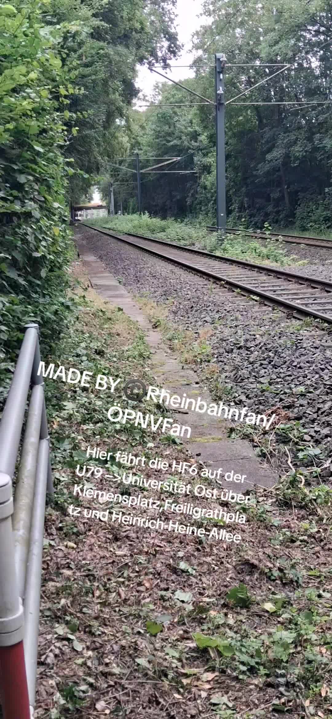 @Rheinbahn Fan/&Ouml;PNV Fan