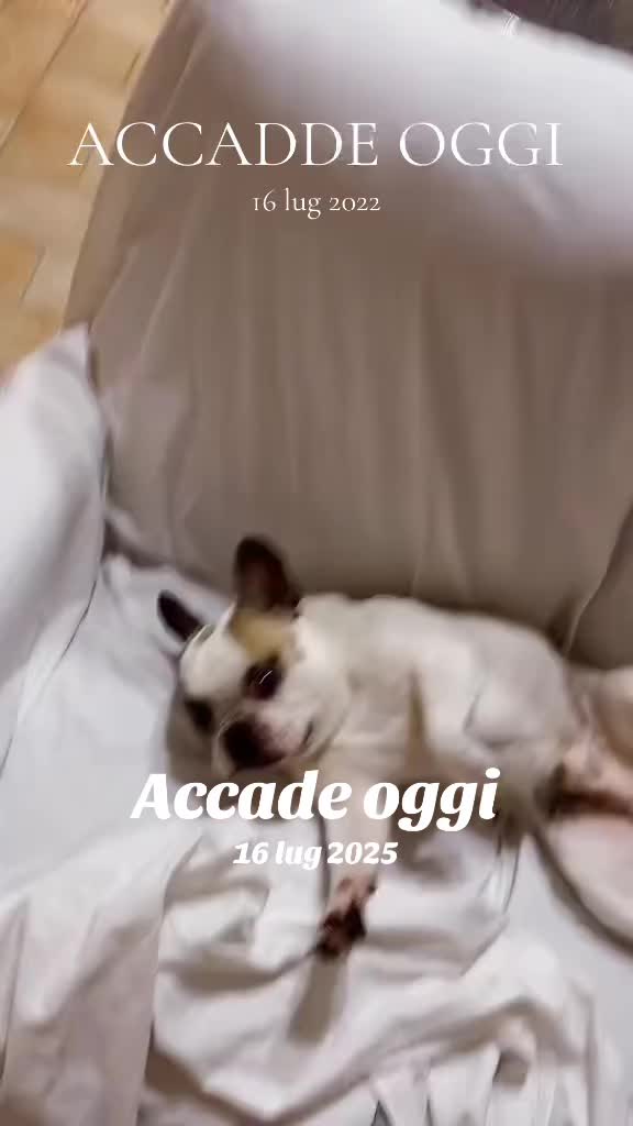 @Gina Laperuta
