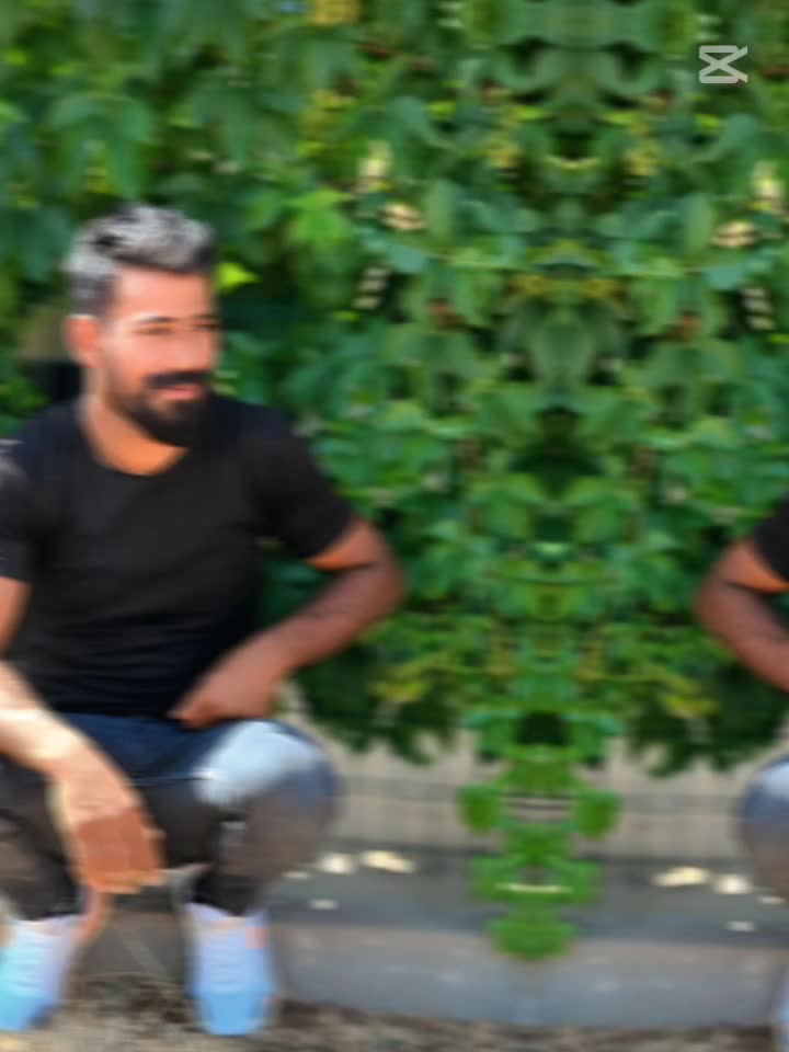 @çılgın çocuk