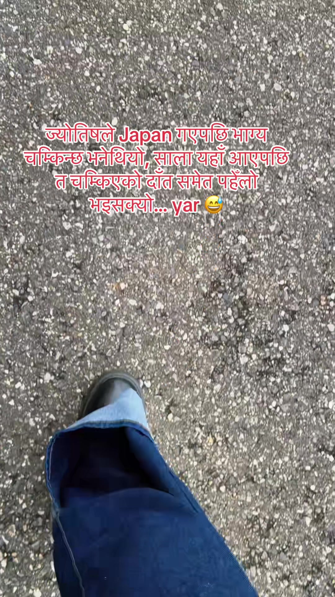 @🕊️