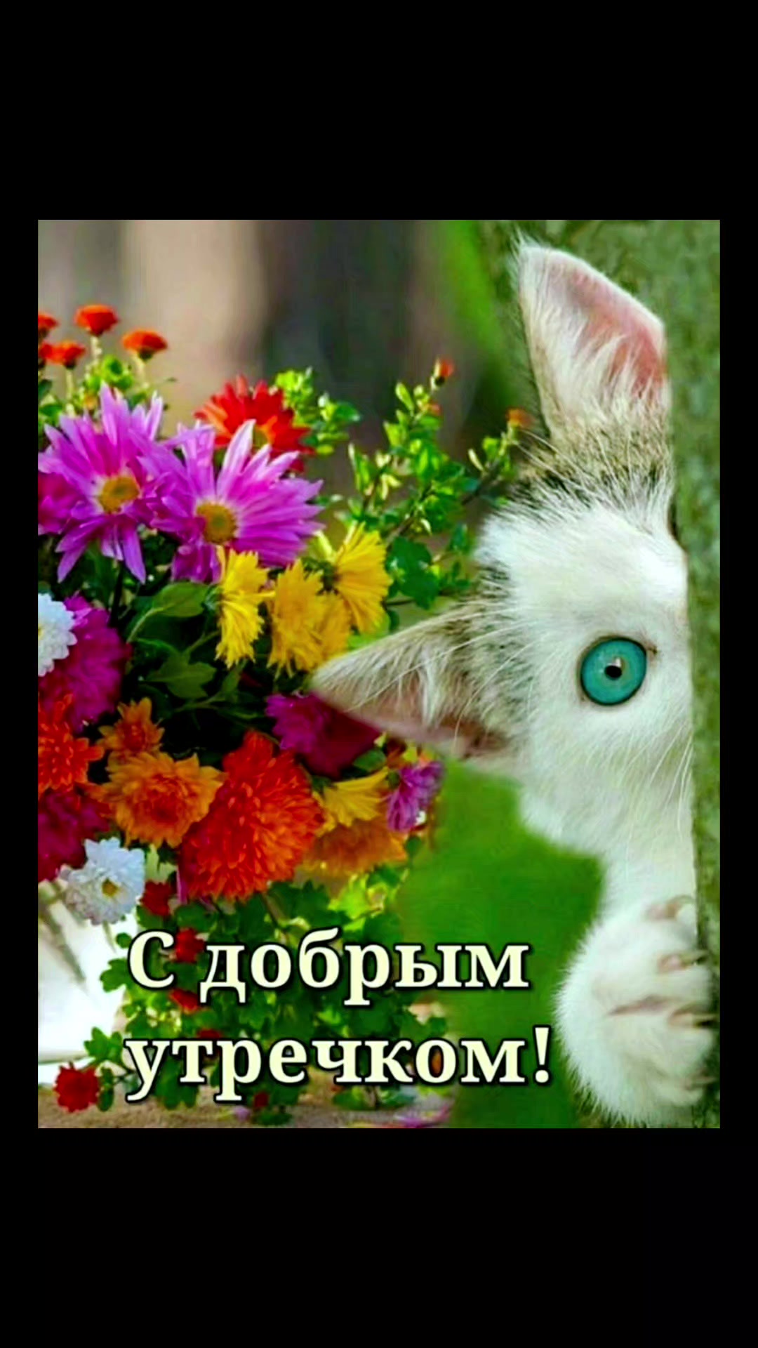 @Ольга
