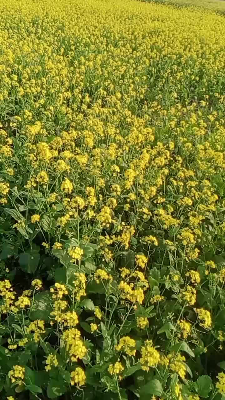 @Movîe Flîx