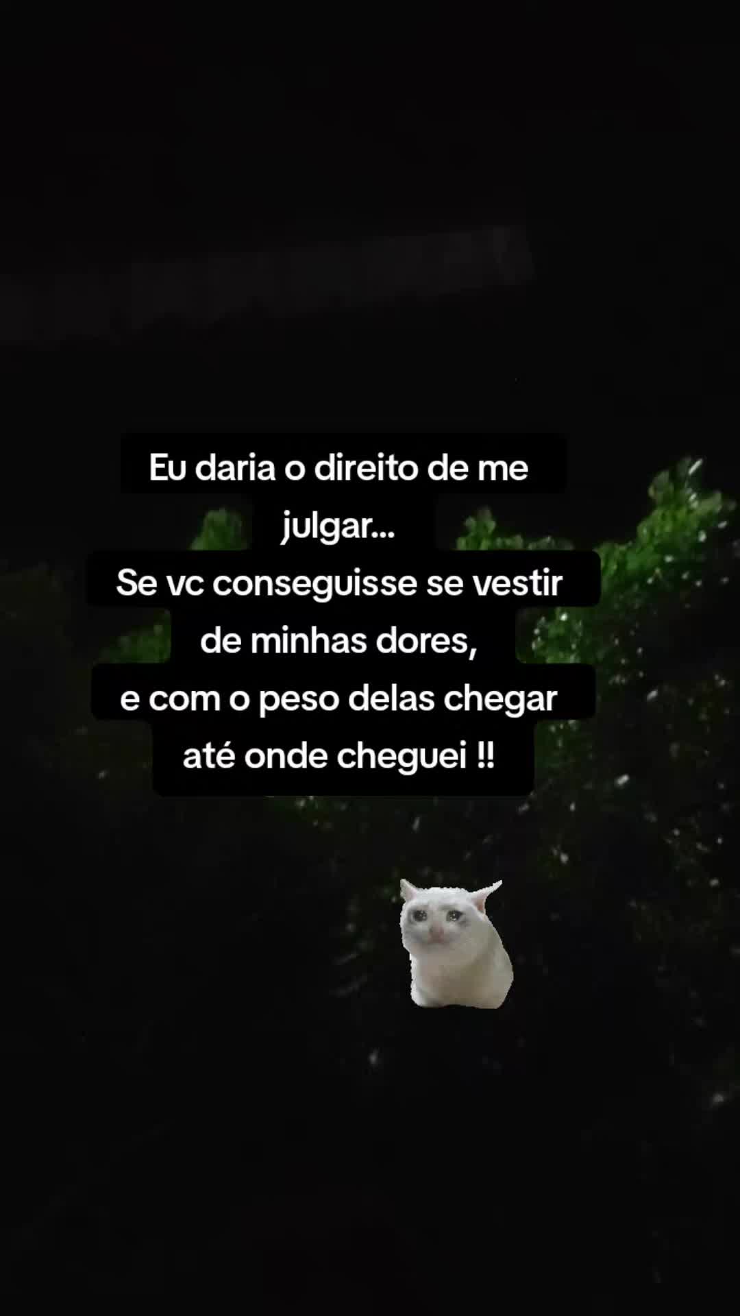@Miguel Ramos arcanjo