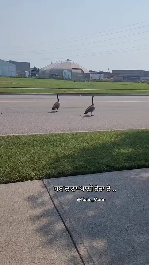 @𝕂𝕒𝕦𝕣 𝕄𝕒𝕟𝕟