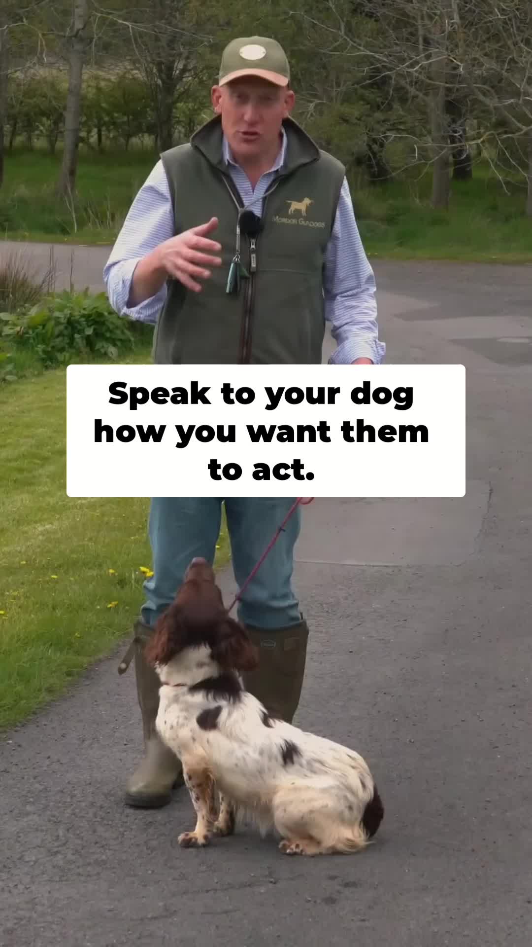 @Mordor Gundogs
