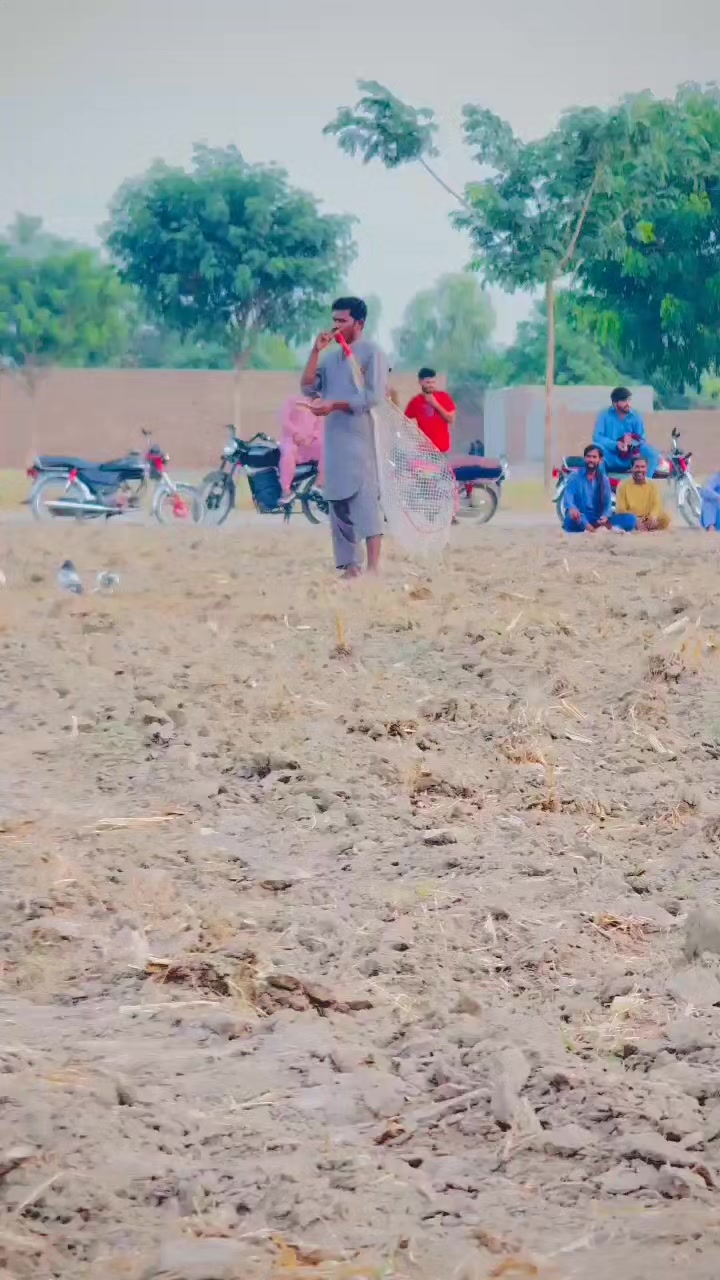 @عدیل رحمن لیہ وال کبوتر باز
