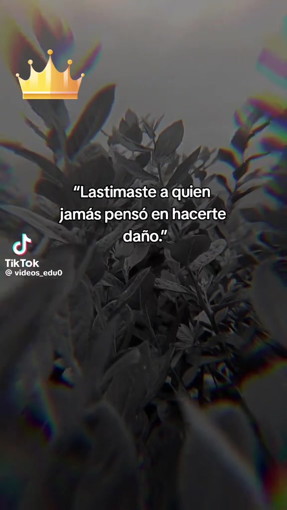 @user83882146mildra