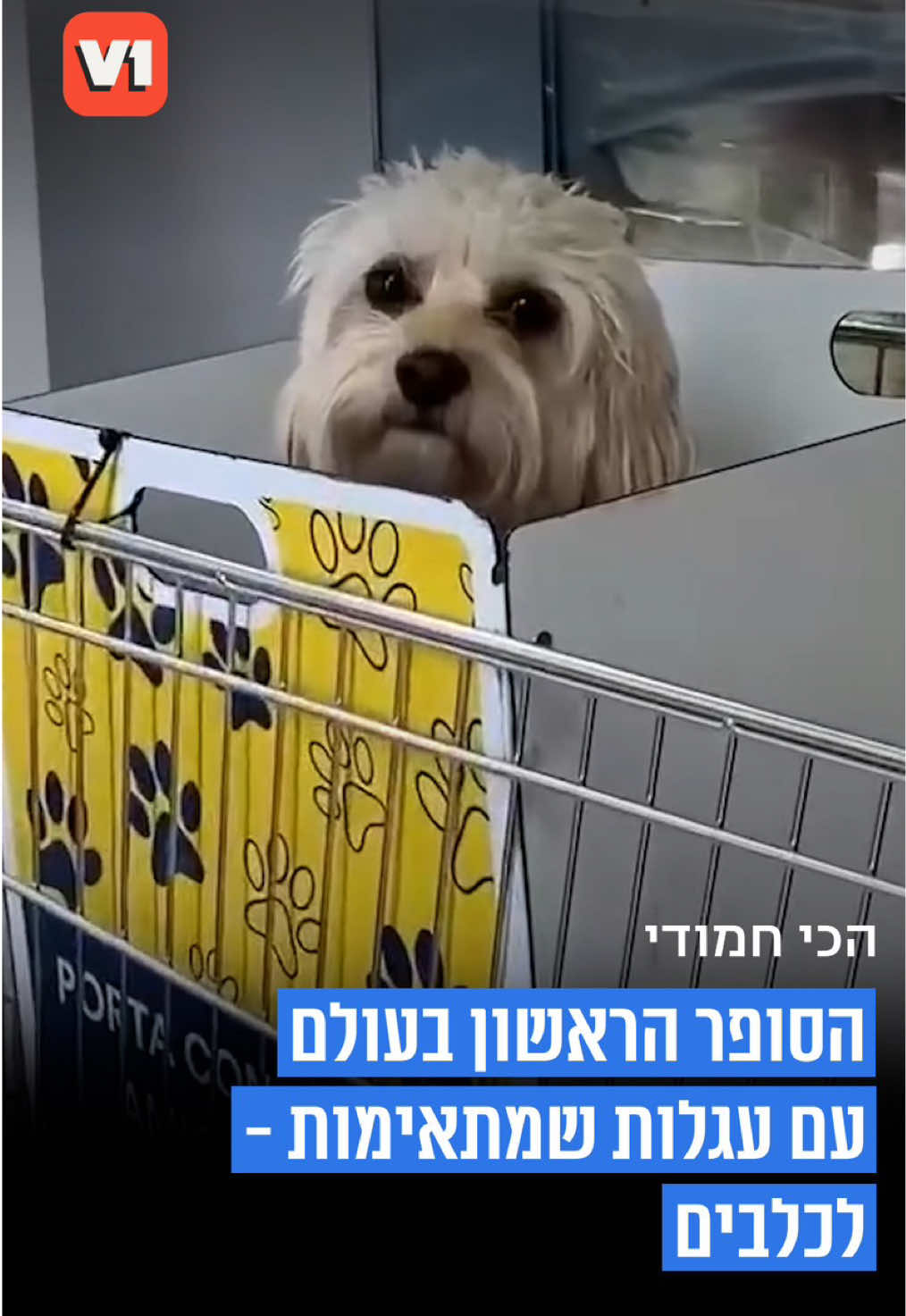 @V1 israel