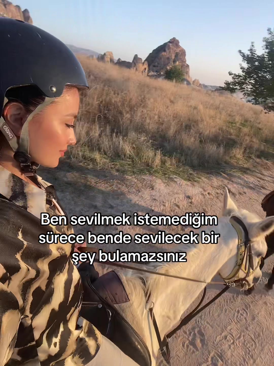@Aleyn