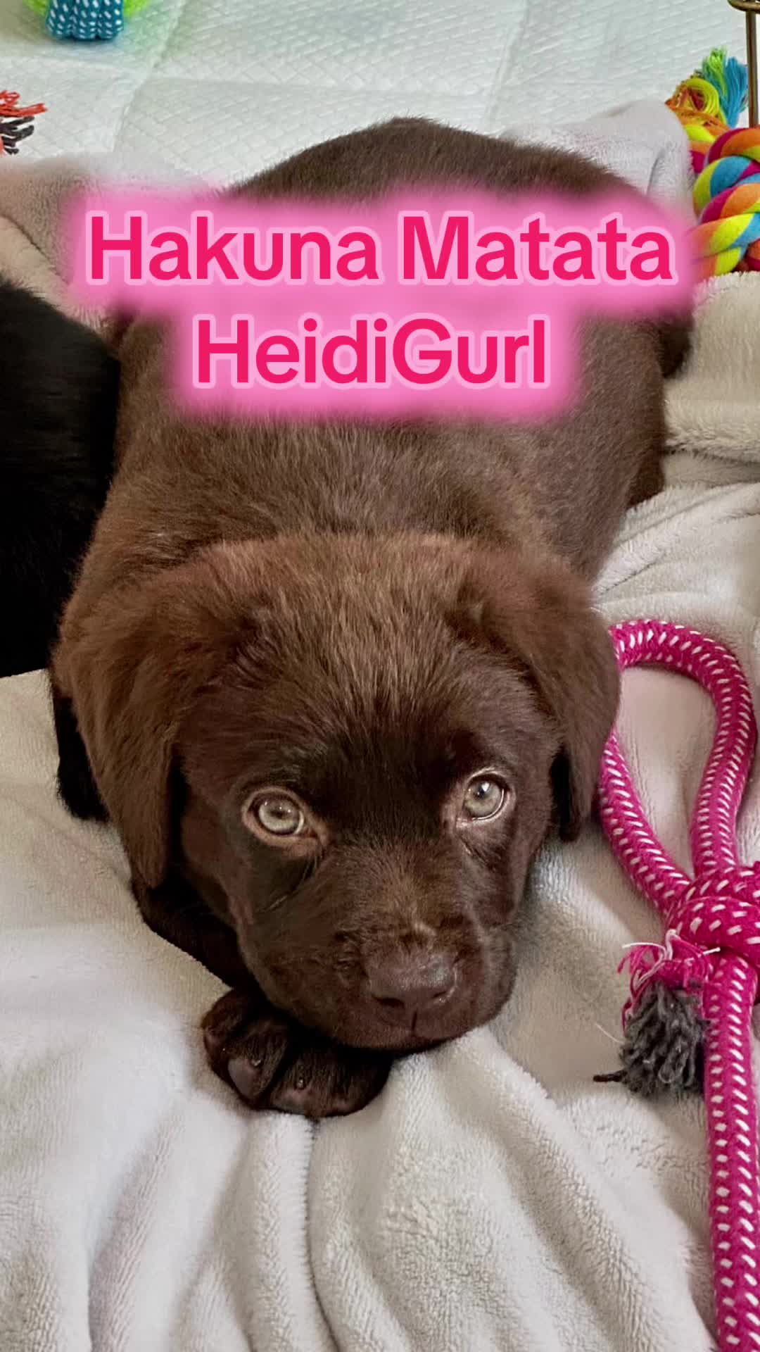 @TheHeidiandHarleyShow
