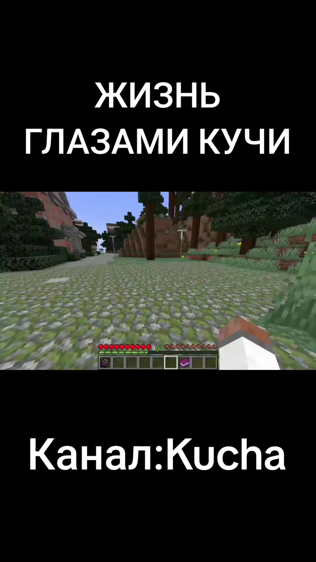 @svinina