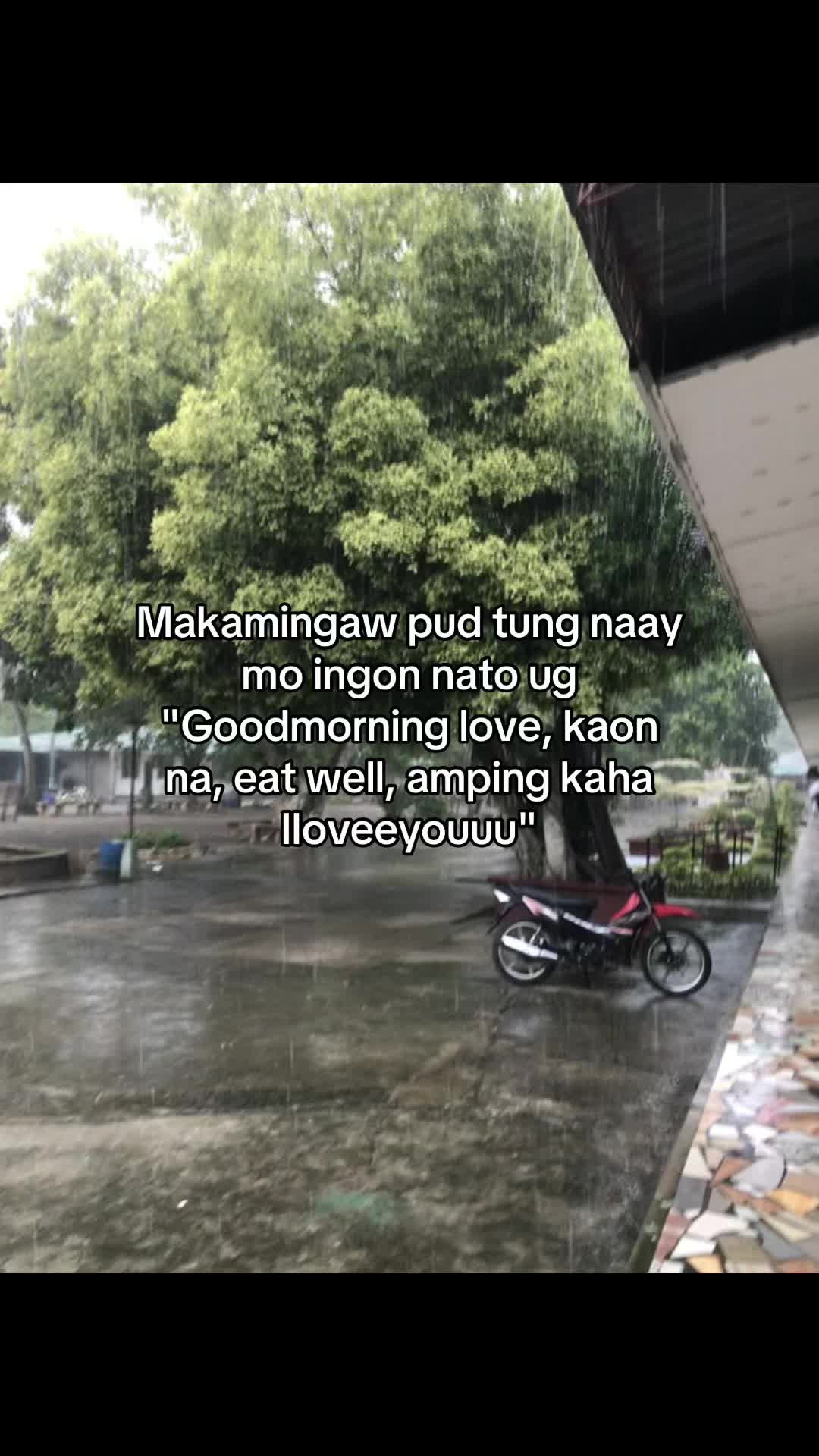 @matchalatte