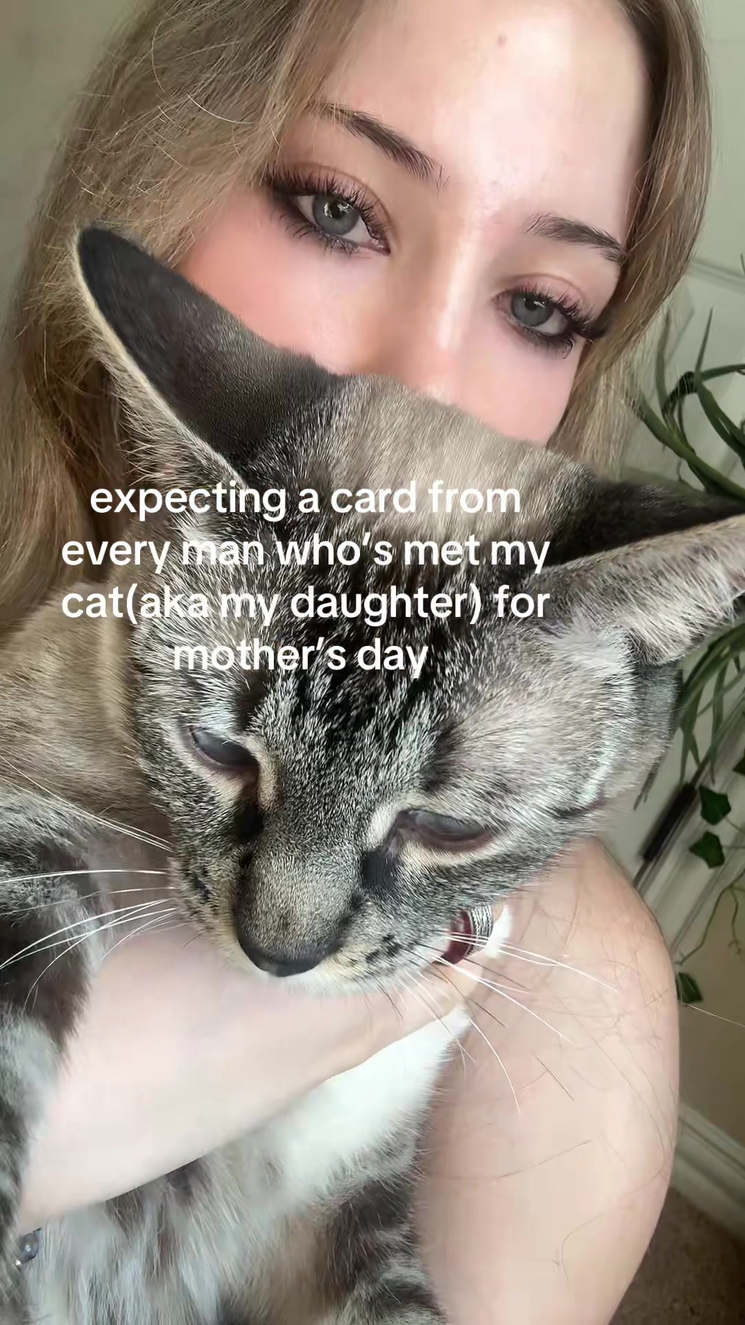 @hal🧸