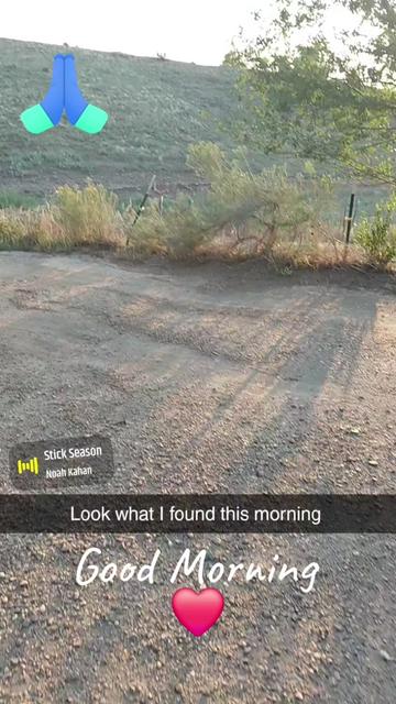 @gmno423