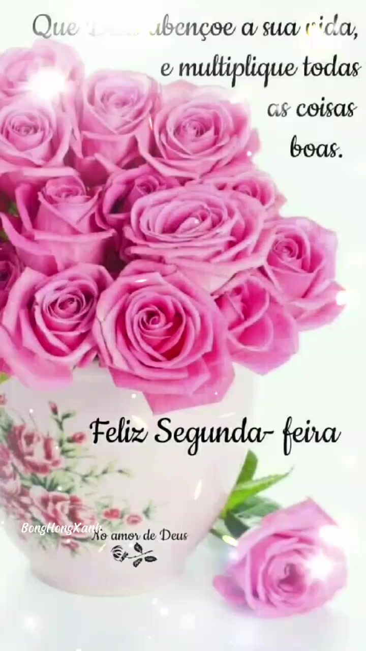 @Opoetabeijaflor
