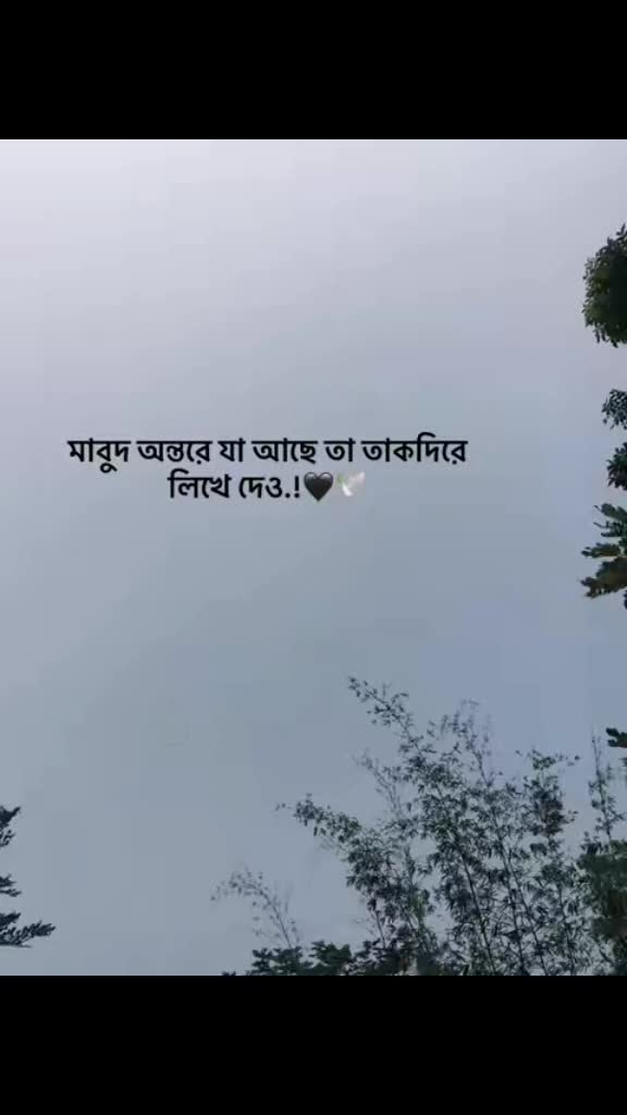 @Caption.!🥺
